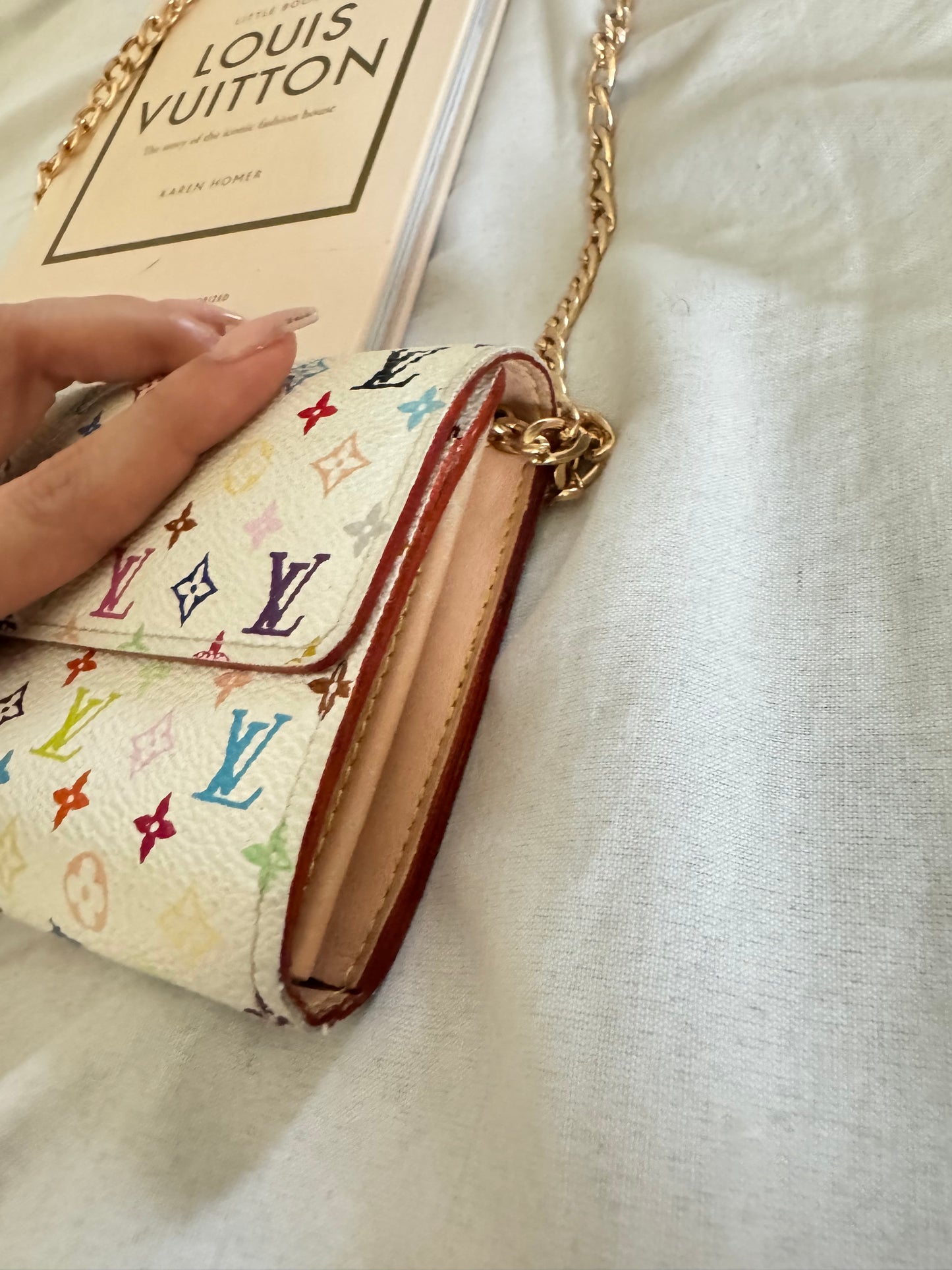Pre-Owned Louis Vuitton Multicolor Wallet On Chain Crossbody Bag