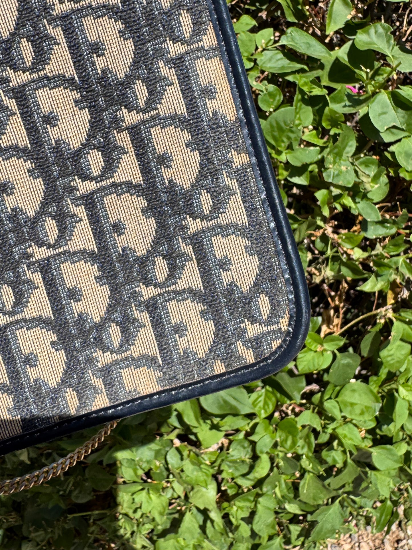 Pre-Owned Christian Dior Trotter Chain Shoulder Bag