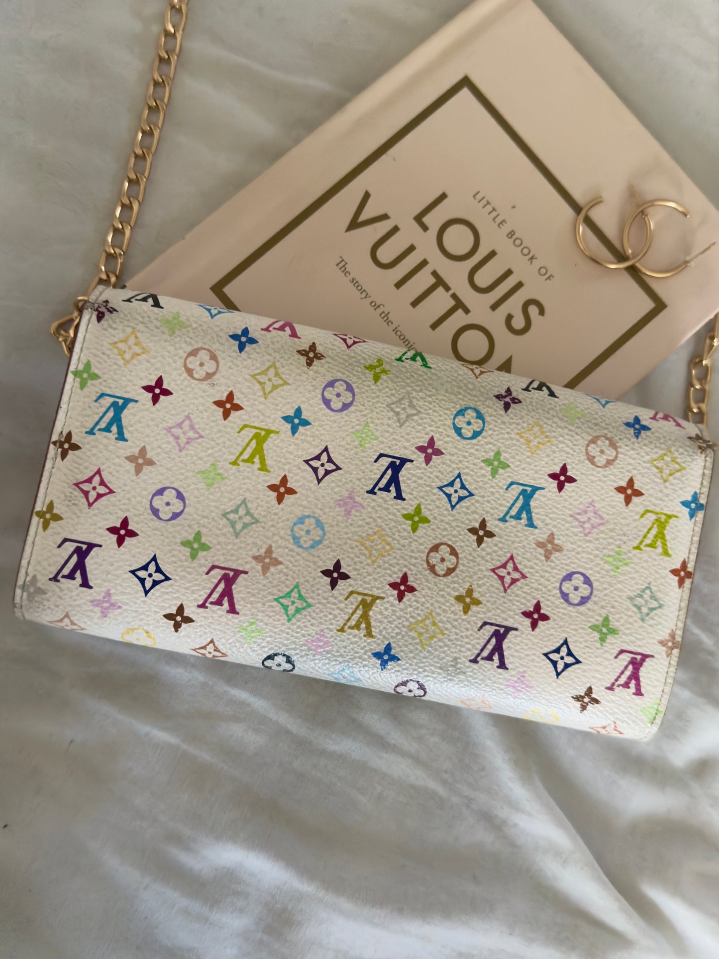 Pre-Owned Louis Vuitton Multicolore Wallet On Chain Crossbody Bag