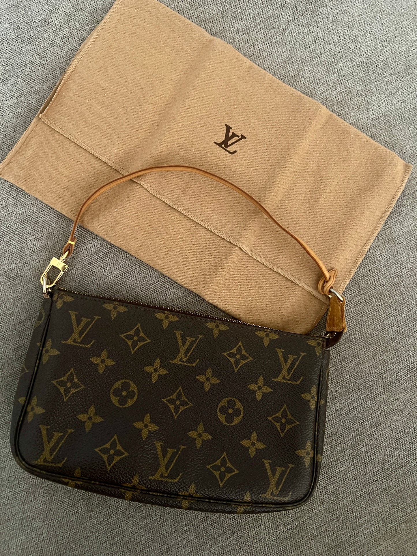 Pre-owned Louis Vuitton Pochette Accessories Bag