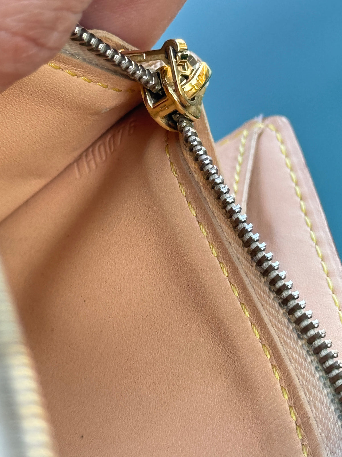 Pre-Owned  Louis Vuitton Multicolore Wallet On Chain Crossbody Bag