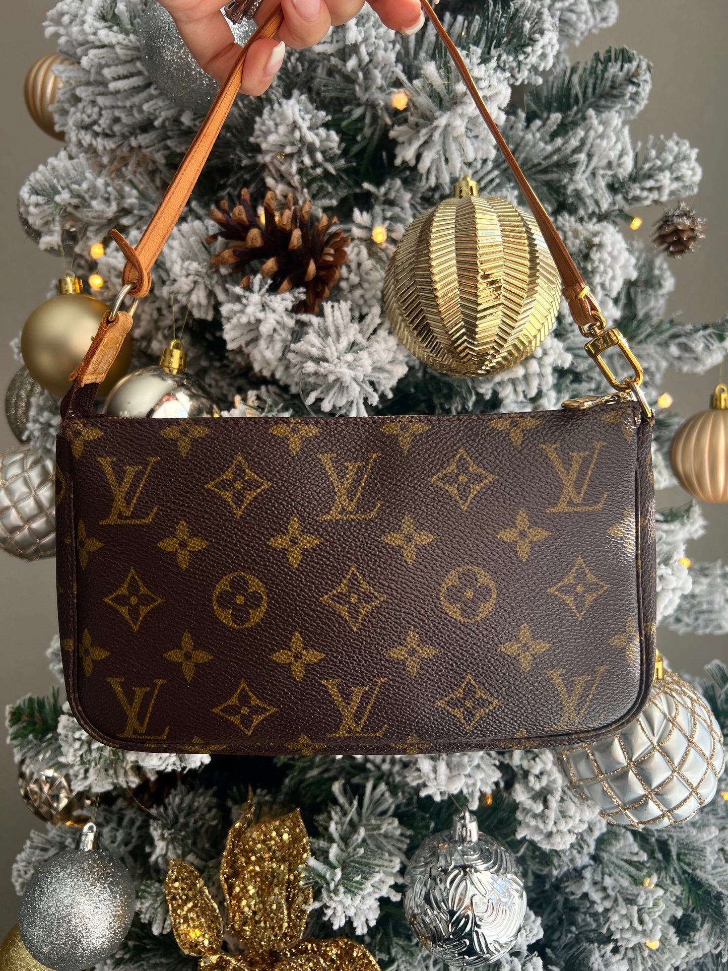 Pre-owned Louis Vuitton Pochette Accessories Bag