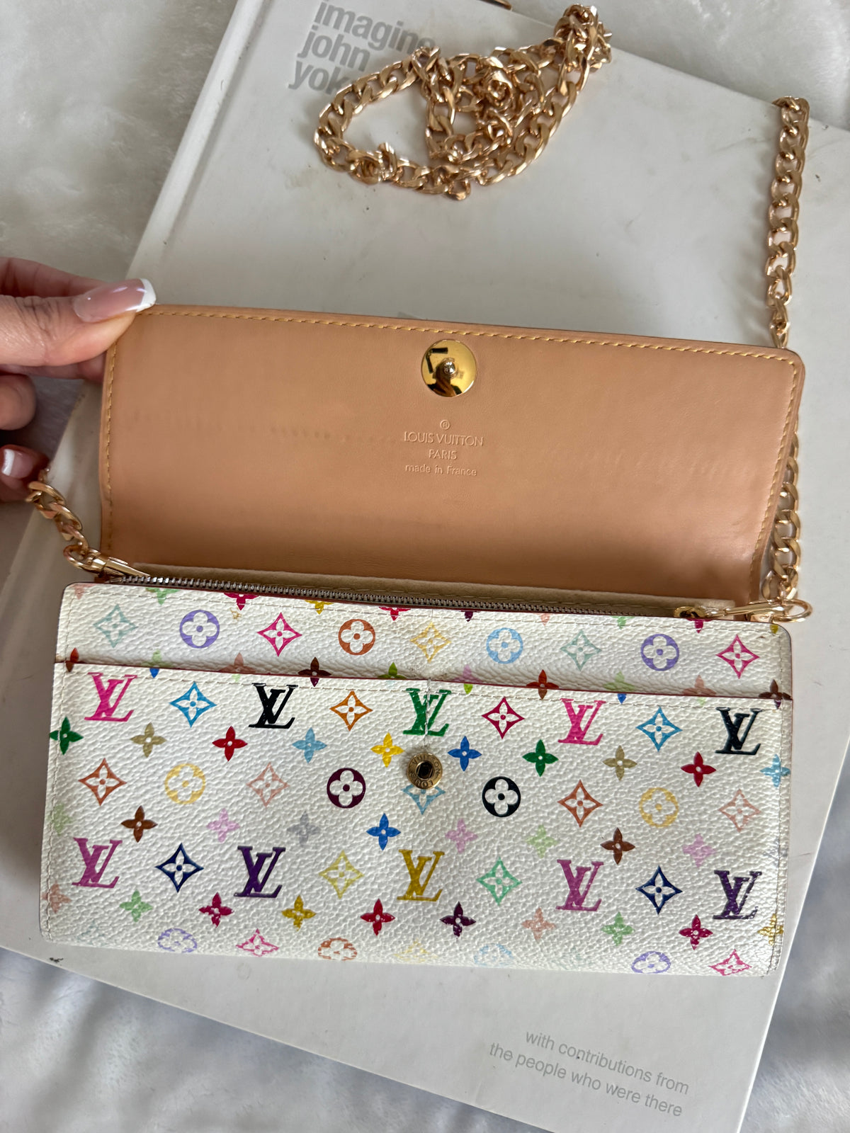 Pre-Owned  Louis Vuitton Multicolore Wallet On Chain Crossbody Bag