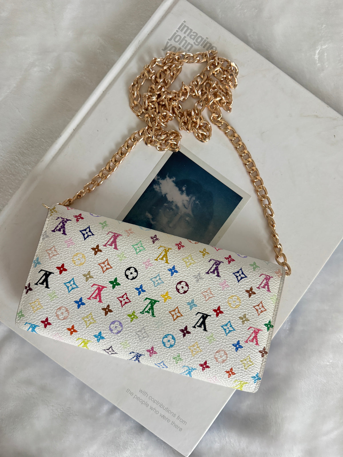 Pre-Owned  Louis Vuitton Multicolore Wallet On Chain Crossbody Bag
