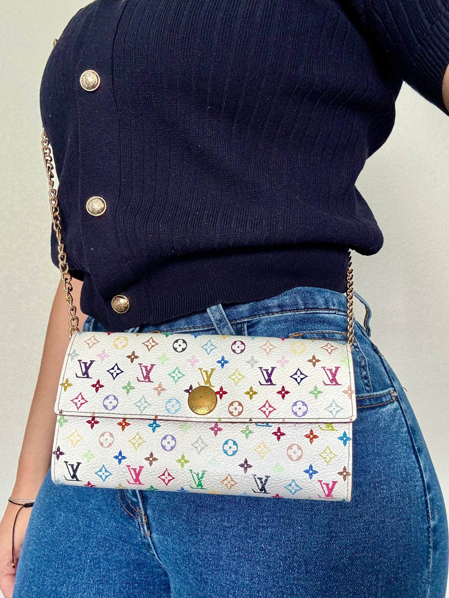 Pre-Owned Louis Vuitton Multicolore Wallet On Chain Crossbody Bag