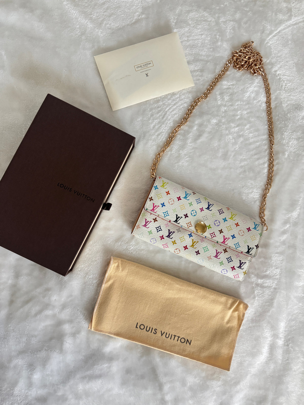 Pre-Owned  Louis Vuitton Multicolore Wallet On Chain Crossbody Bag