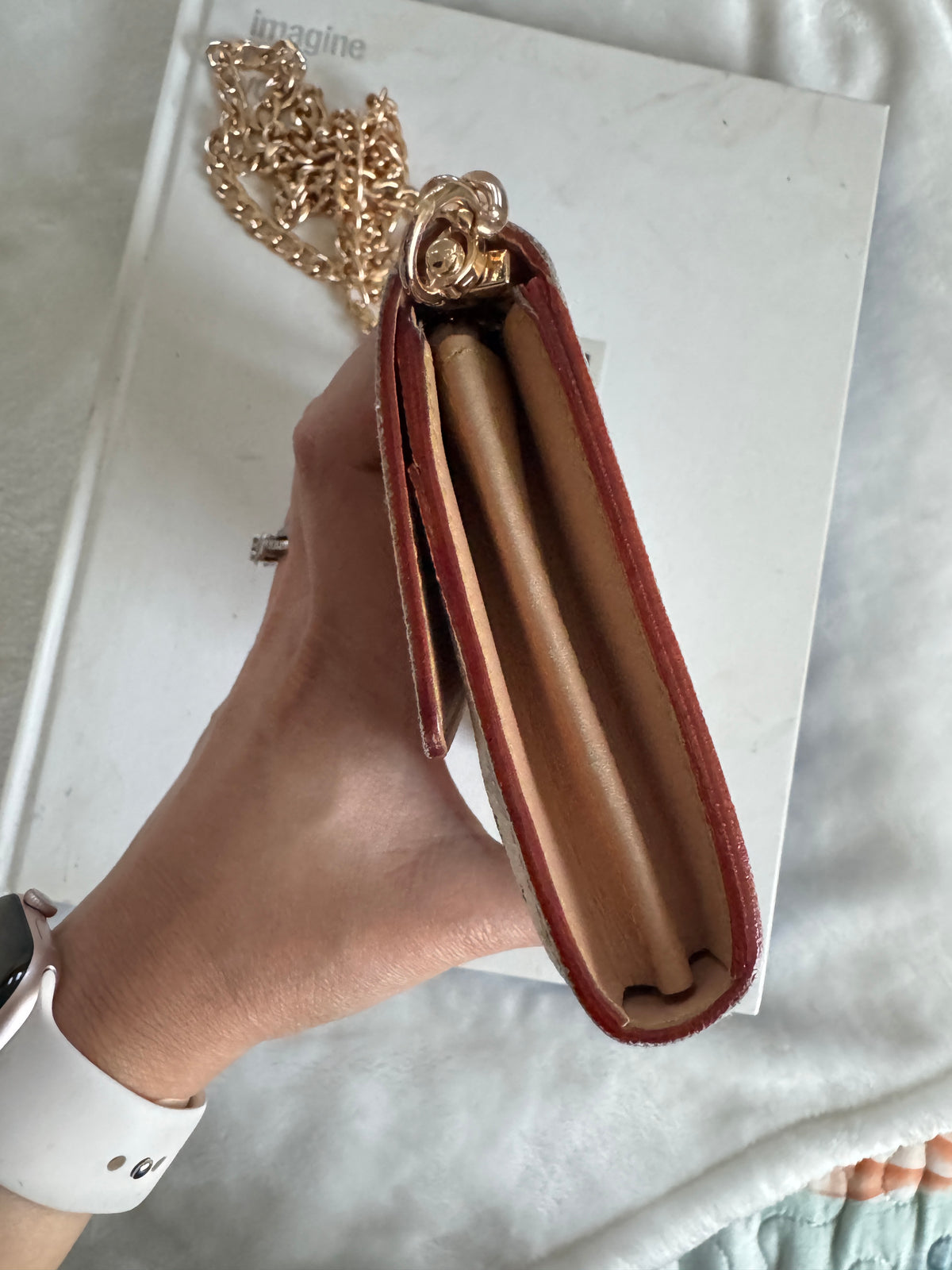 Pre-Owned  Louis Vuitton Multicolore Wallet On Chain Crossbody Bag