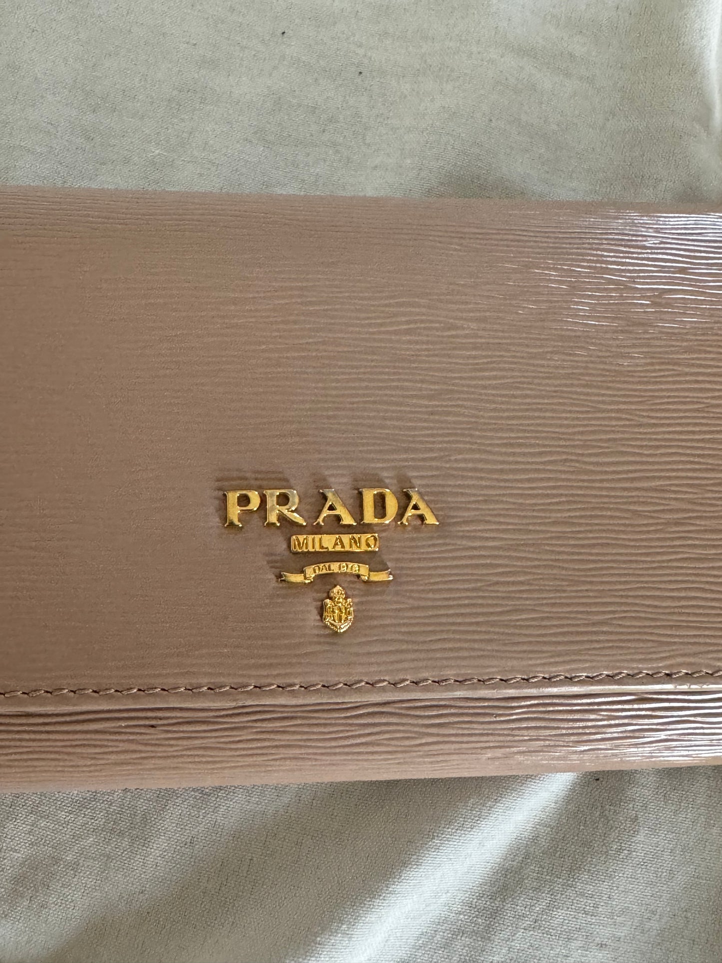 Pre-Owned Prada Cammeo Saffiano Leather Wallet On Chain Crossbody Bag