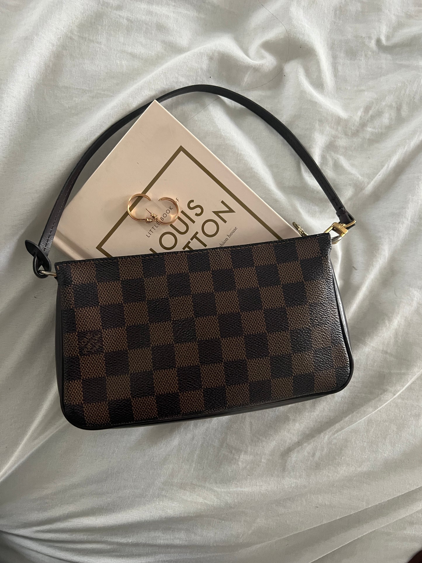 Pre-owned Louis Vuitton Damier Ebene Pochette Accessories