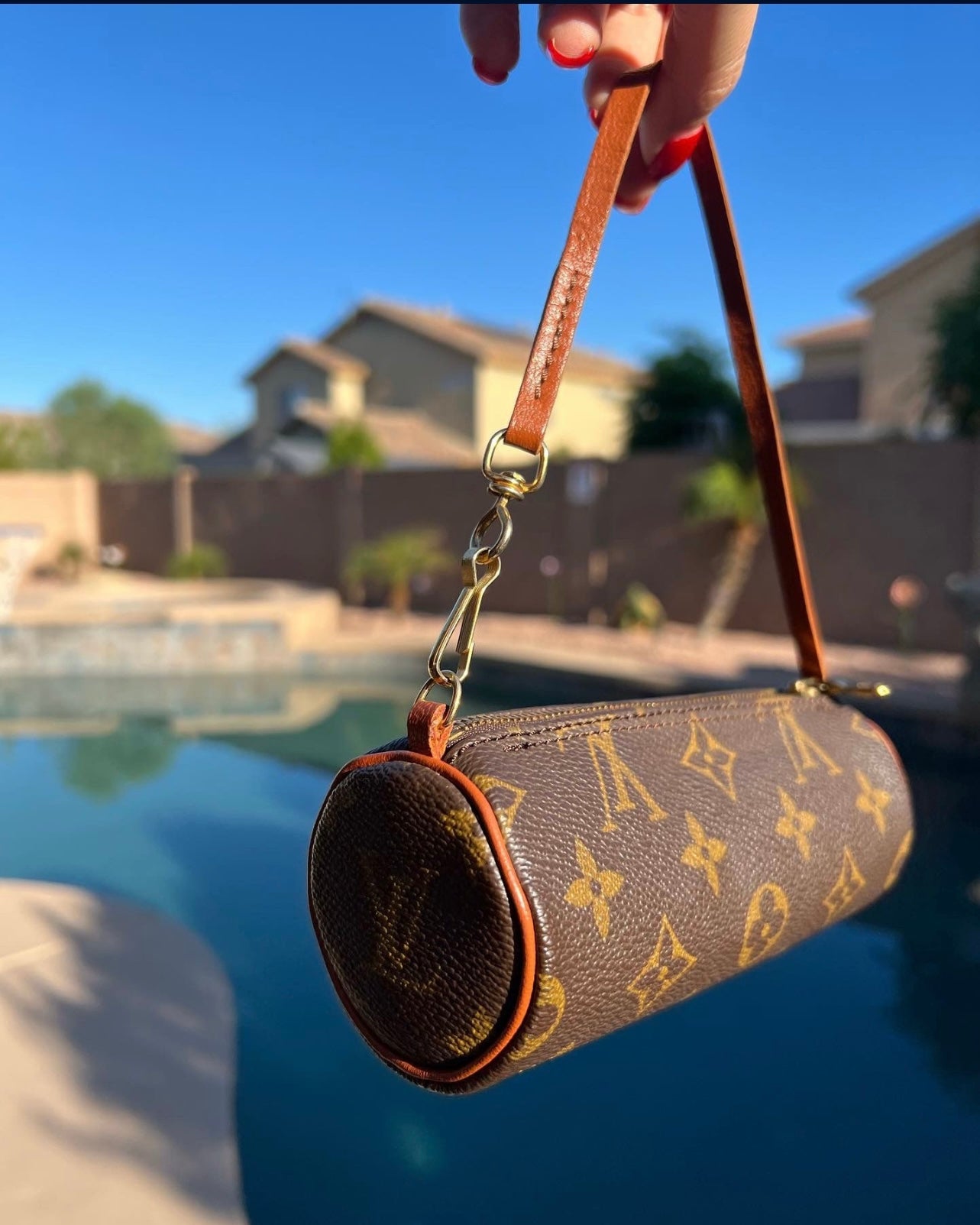 Pre-owned Louis Vuitton Mini Papillon Bag