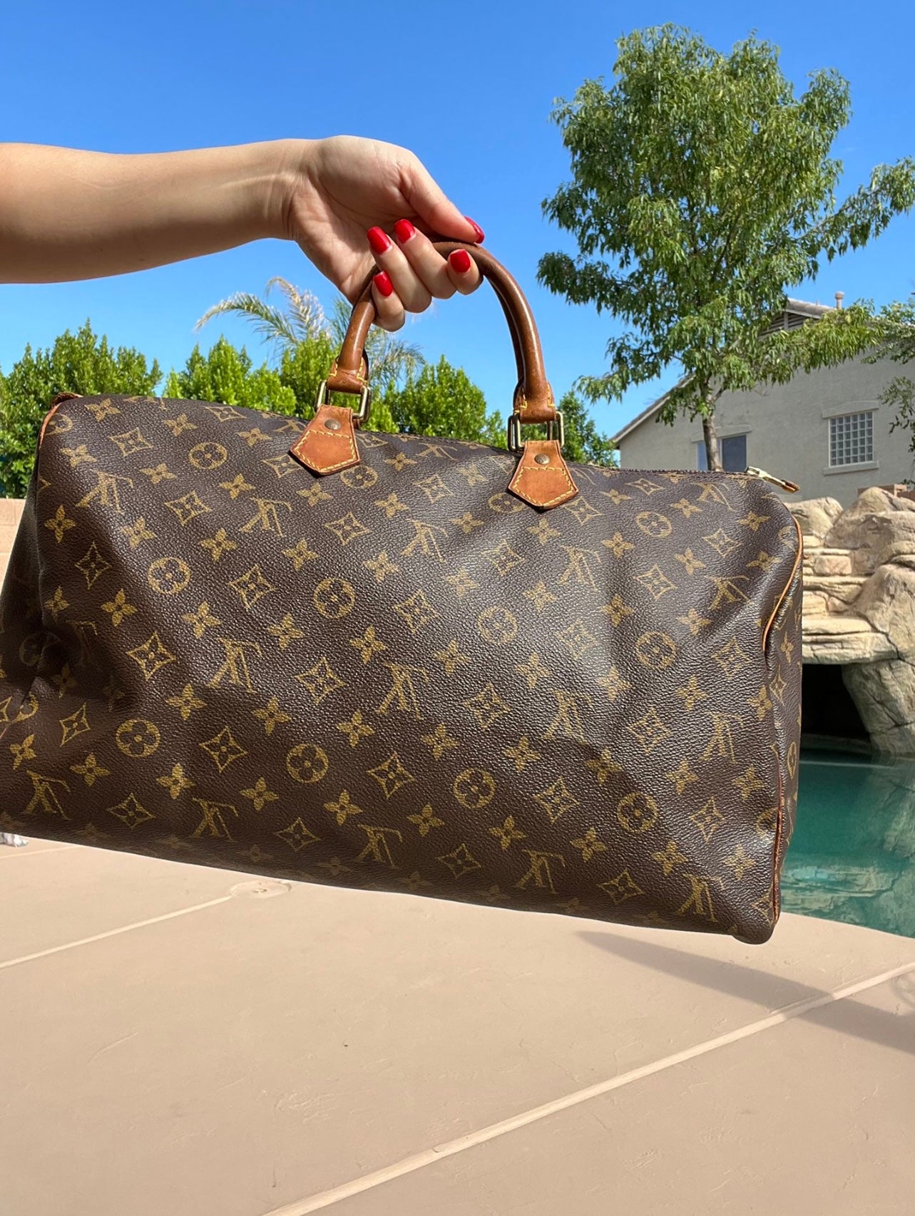 Pre-owned Louis Vuitton Speedy 40 Travel Handbag