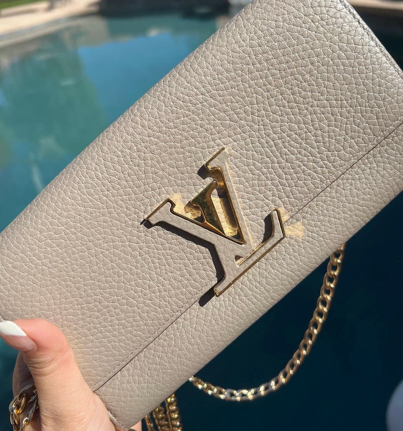 Pre-owned Louis Vuitton Capucines Wallet On Chain