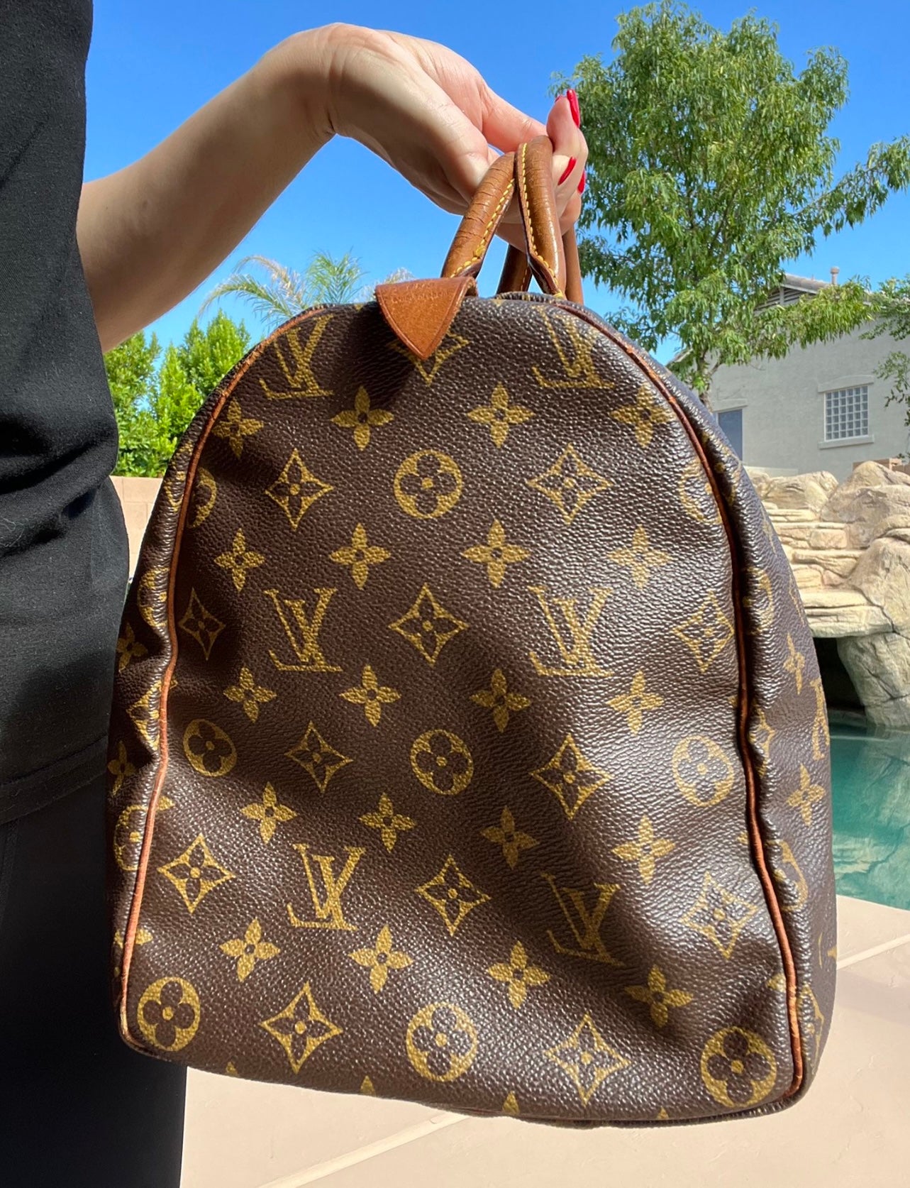 Pre-owned Louis Vuitton Speedy 40 Travel Handbag