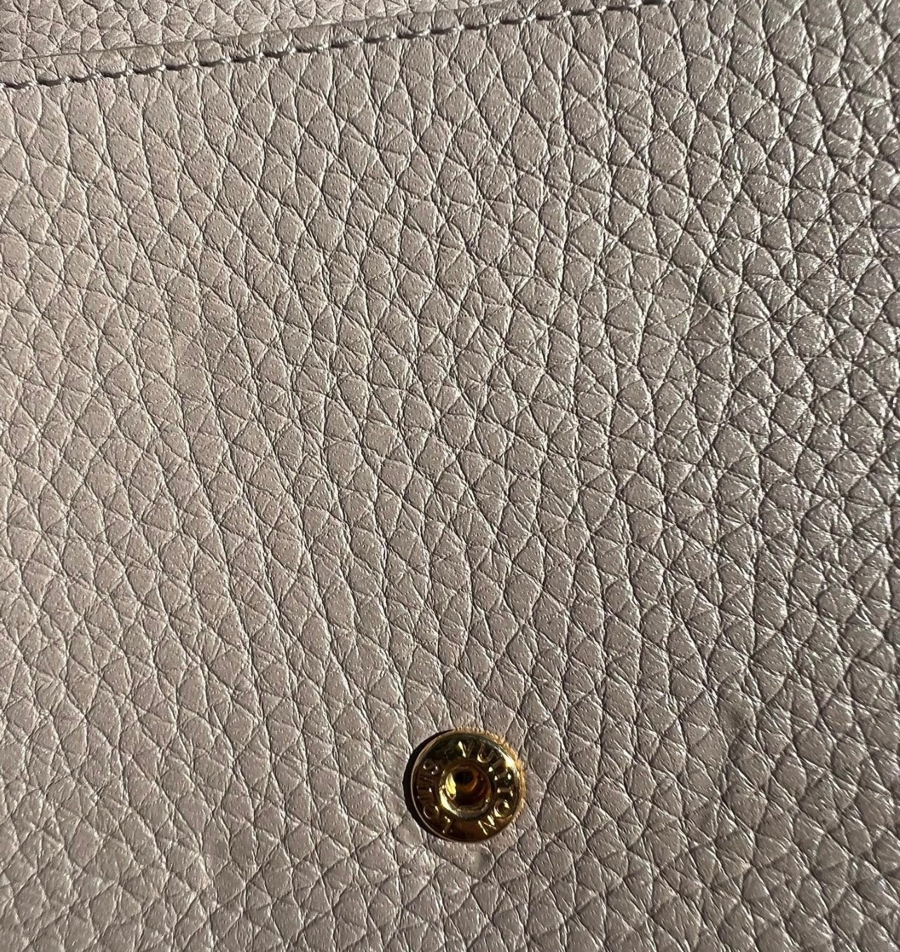 Pre-owned Louis Vuitton Capucines Wallet On Chain