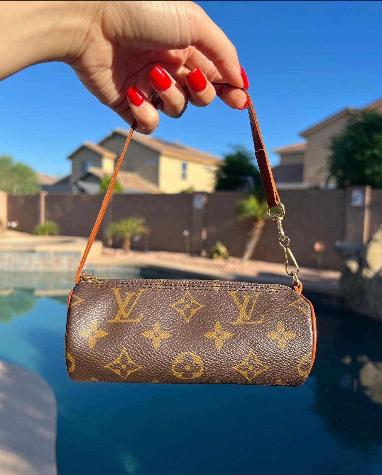 Pre-owned Louis Vuitton Mini Papillon Bag